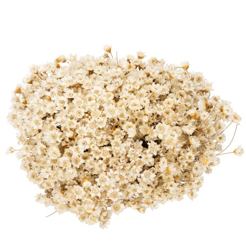 daiktų Džiovintų gėlių puokštė, subtilūs žiedai natūraliam namų dekoravimui, 44 cm