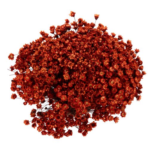 daiktų Džiovintų gėlių puokštė, žavinga vazų ar kompozicijų puošmena, 44 cm