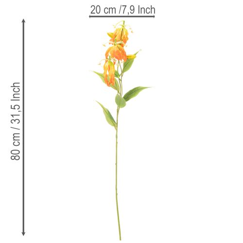  | Floristik24.lt