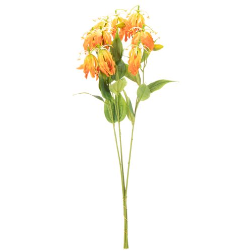  | Floristik24.lt