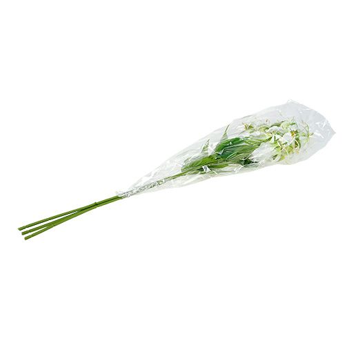 Floristik24 Gloriosa balta dirbtinė 84cm 3vnt