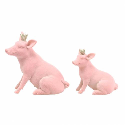 Floristik24 Dekoratyvinis figūrėlių rinkinys laimės kiaulytė su auksine karūna 12 × 7 × 13 cm / 9,2 × 5,5 × 10 cm 2 vnt.