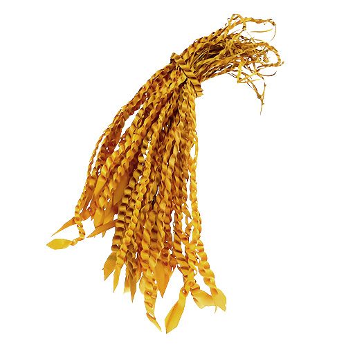 Floristik24 Gold Tendril Golden Yellow 50 vnt