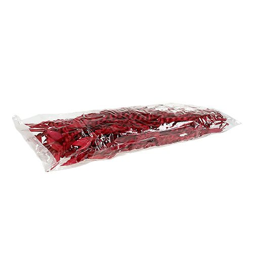 daiktų Gold Tendril Red 50 vnt