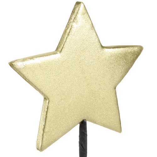 daiktų Golden star dekoratyviniai gėlių kamščiai Ø7cm 2-as pasirinkimas 24 vnt