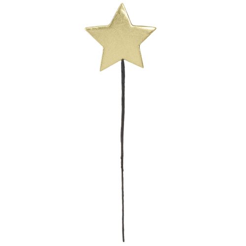 daiktų Golden star dekoratyviniai gėlių kamščiai Ø7cm 2-as pasirinkimas 24 vnt