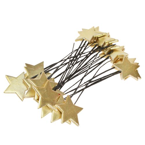 daiktų Golden star dekoratyviniai gėlių kamščiai Ø7cm 2-as pasirinkimas 24 vnt