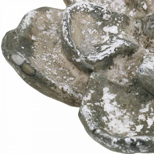 Floristik24 Kapo apdaila, betono apdaila, sodo puošmena, betoninė rožė Ø15,5cm