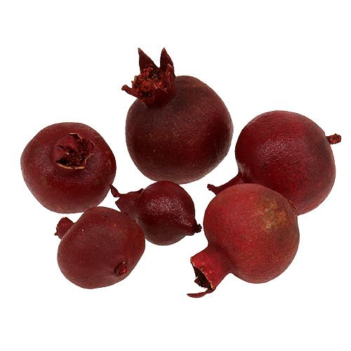 Floristik24 Granatai 250 g
