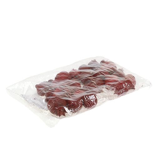 Floristik24 Granatai 250 g