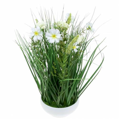 daiktų Dekoratyvinė žolė su Cosmea gėlėmis dubenyje H45cm