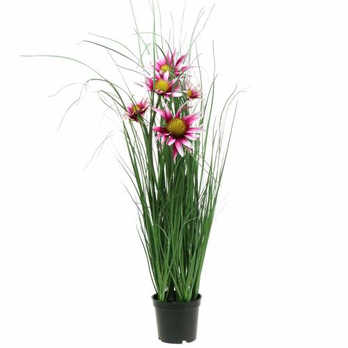 Floristik24 Žolė su ežiuolė dirbtine vazone Rožinė 63cm