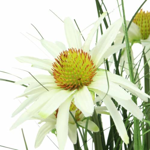 Floristik24 Dirbtinė žolė su ežiuolė baltame vazone 52cm