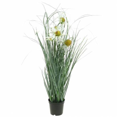 Dirbtinė žolė su ežiuolė baltame vazone 56cm