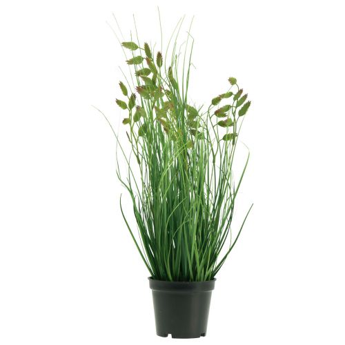 Floristik24 Quaking Grass Dirbtinė žolė Dirbtinis vazoninis augalas 36cm