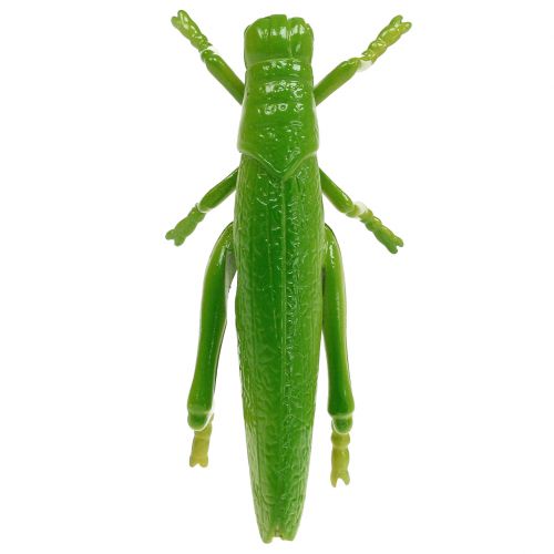 daiktų Žiogas žalias 11cm 1 vnt