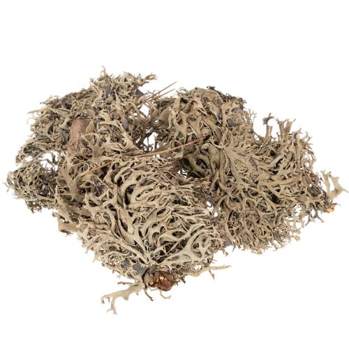 Dekoratyvinės samanos, pilkos samanos rankdarbiams, 500g