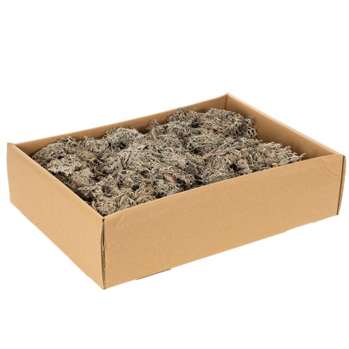 Dekoratyvinės samanos, pilkos samanos rankdarbiams, 500g | Floristik24.lt