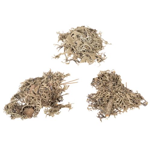 Dekoratyvinės samanos, pilkos samanos rankdarbiams, 500g | Floristik24.lt