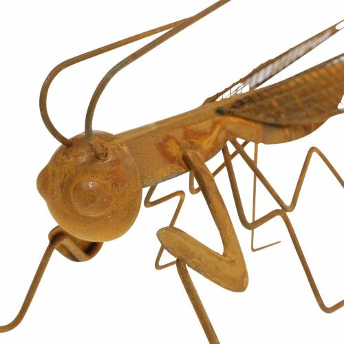 Floristik24 Sodo apdailos grotelės nerūdijančio plieno metalinės 14,5cm