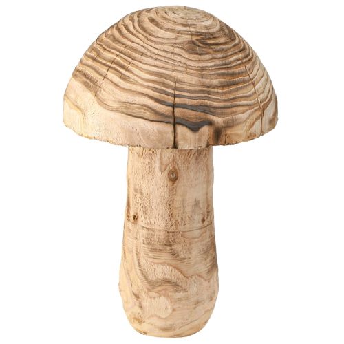 daiktų Didelis medinis grybas dekoratyvinis grybas Paulownia Ø21cm H33cm
