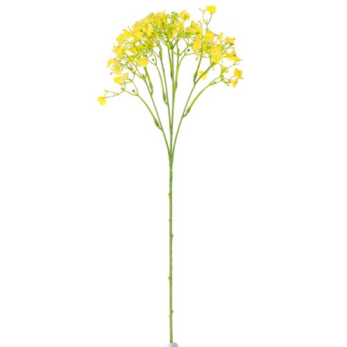 daiktų Gypsophila paniculate gipso žolė geltoni žiedai L46cm 4 vnt