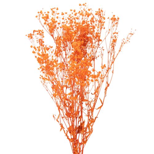 Džiovintų gėlių puokštė „Gypsophila“ 75 cm 100 g