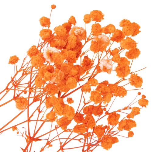 Džiovintų gėlių puokštė „Gypsophila“ 75 cm 100 g | Floristik24.lt