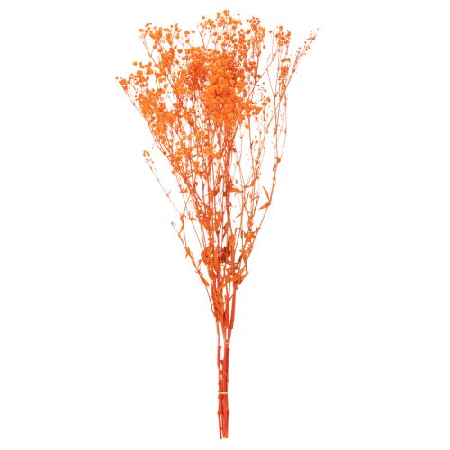 Džiovintų gėlių puokštė „Gypsophila“ 75 cm 100 g | Floristik24.lt