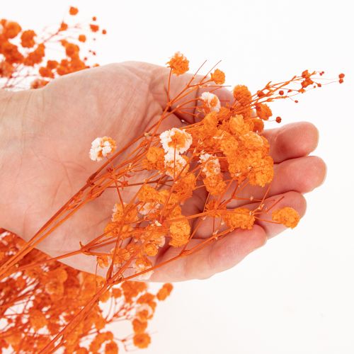 Džiovintų gėlių puokštė „Gypsophila“ 75 cm 100 g | Floristik24.lt