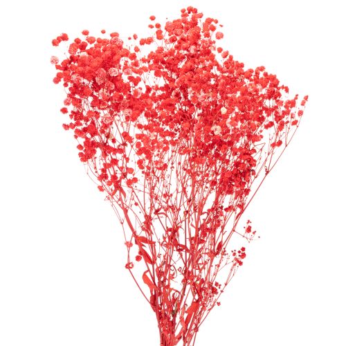 Džiovintų gipso (Gypsophila) kekė 75 cm 100 g pirkti | Floristik24.lt