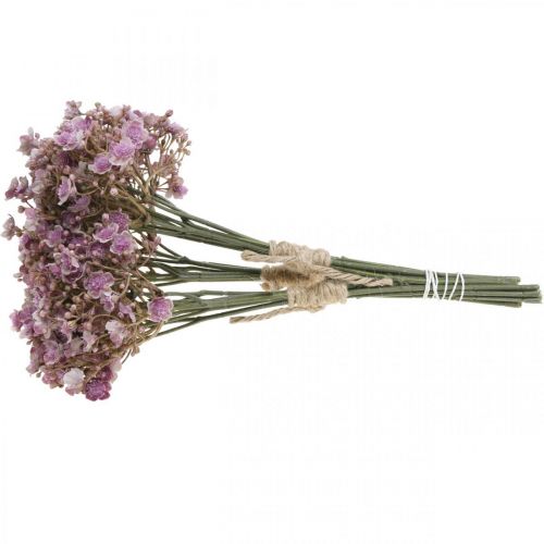Floristik24 Gypsophila dirbtinė violetinė rudens puošmena 29,5cm 18vnt