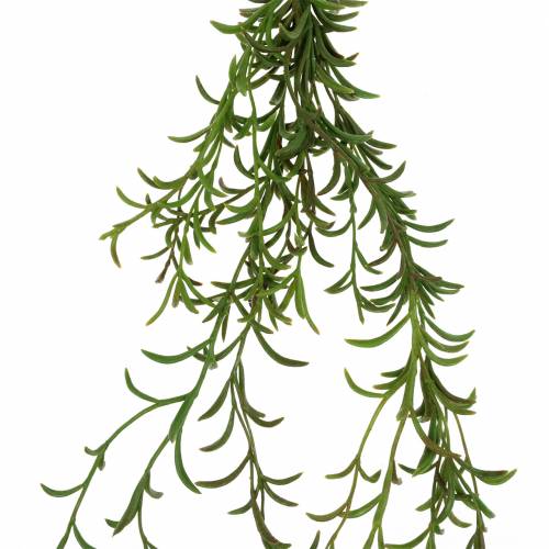 Floristik24 Koralų kaktuso dirbtinė kabykla Rhipsalis 90cm