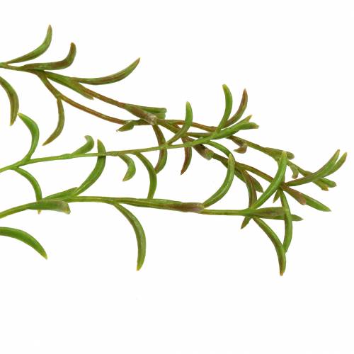 Floristik24 Koralų kaktuso dirbtinė kabykla Rhipsalis 90cm