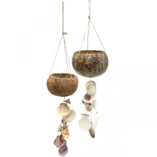 Kokosinis dubuo su kevalais, natūralaus augalo dubuo, kokosas kaip pakabinamas krepšelis Ø13,5/11,5cm, rinkinyje 2 vnt.