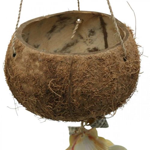 daiktų Kokoso dubuo su kevalais, natūralaus augalo dubuo, kokosas kaip pakabinamas krepšelis Ø13,5/11,5cm, rinkinys iš 2