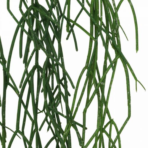 daiktų Dekoratyvinės ūseliai, koralų kaktusas, dirbtinė kabykla Rhipsalis Green L120cm