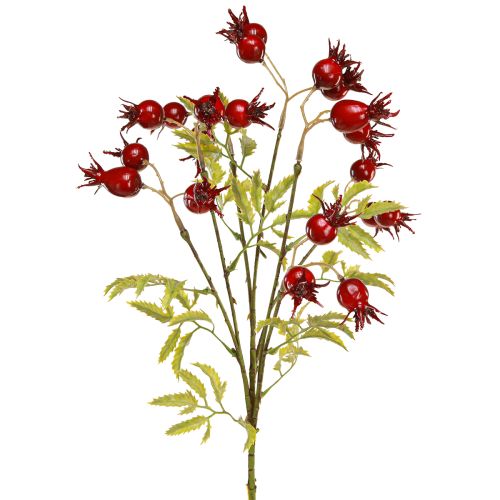 Floristik24 Dirbtinės erškėtuogių šakelės su 7 vaisiais, tamsiai raudonos, 48 cm