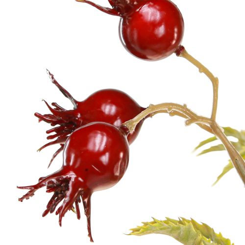 Floristik24 Dirbtinės erškėtuogių šakelės su 7 vaisiais, tamsiai raudonos, 48 cm