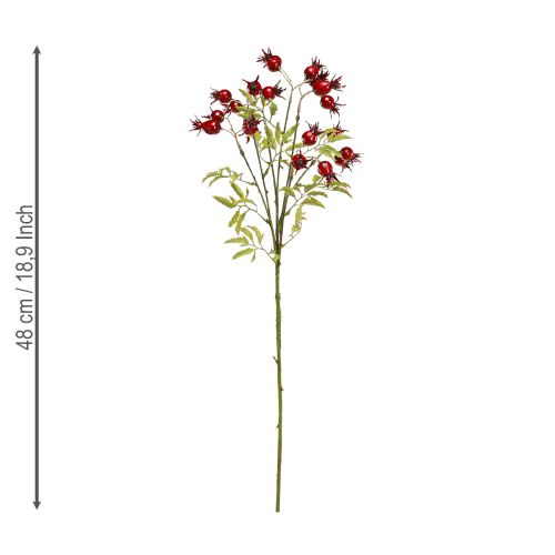 Floristik24 Dirbtinės erškėtuogių šakelės su 7 vaisiais, tamsiai raudonos, 48 cm