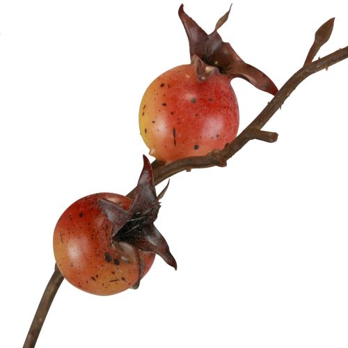 Erškėtuogių šakelė Geltona/Oranžinė Dirbtinė erškėtuogių šakelė Deco L95cm