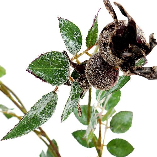 Floristik24 Erškėtuogių šakelė L92cm su sniegu
