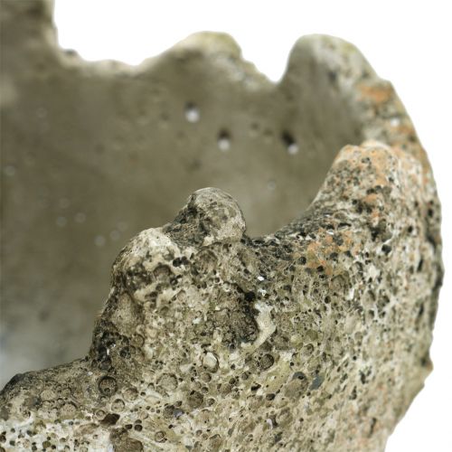 Floristik24 Betoninis rutulys sodinimui Ø15cm H13,5cm