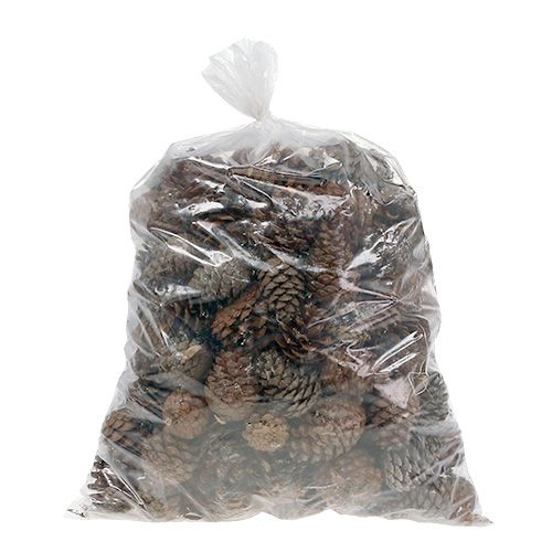 daiktų Natūralūs Halepensis spurgai 5kg