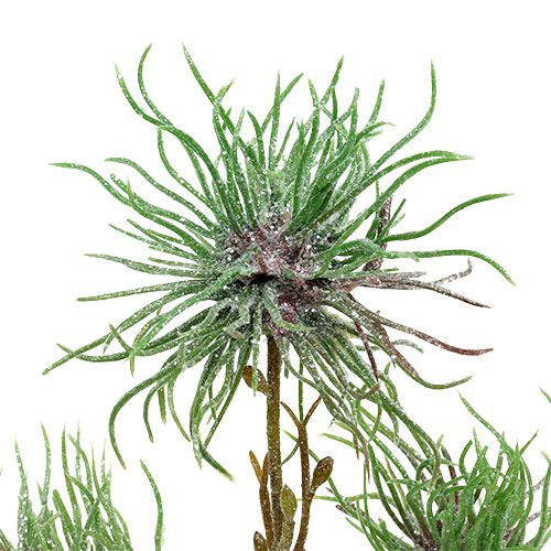Floristik24 Hamamelio šakelė 44cm žalia, sidabrinė 1vnt