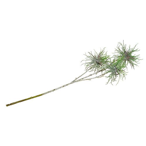 Floristik24 Hamamelio šakelė 44cm žalia, sidabrinė 1vnt