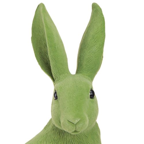 Floristik24 Bunny Green Sėdintis Velykų zuikis Dekoracija Flokuotas 16×13×35cm