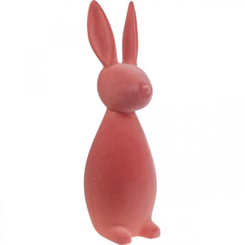 Floristik24 Deco Bunny Deco Velykų zuikis Flocked Oranžinis Abrikosas H69cm