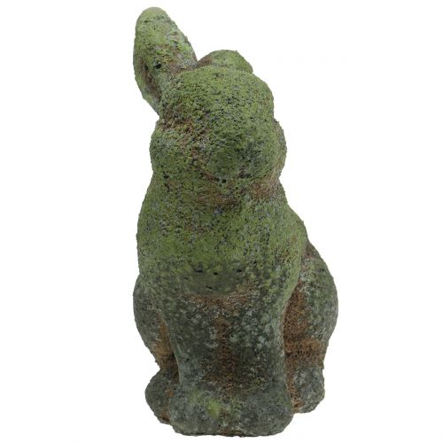 Floristik24 Sodo figūrėlė zuikis samanotas 20cm x 13cm H25cm