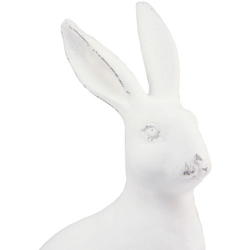 Floristik24 Triušio sėdėjimo dekoratyvinė triušio dirbtinio akmens dekoracija balta H27cm